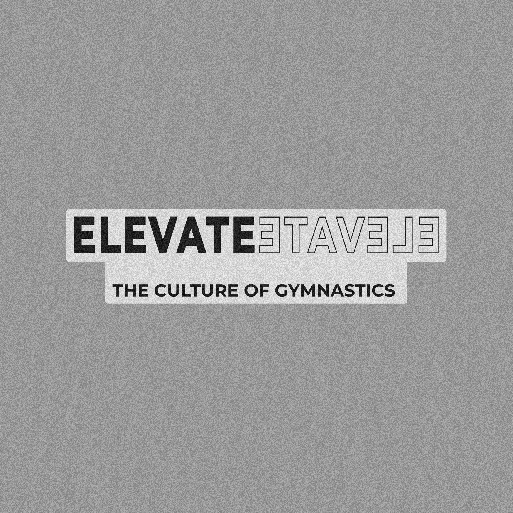Elevate - Sticker